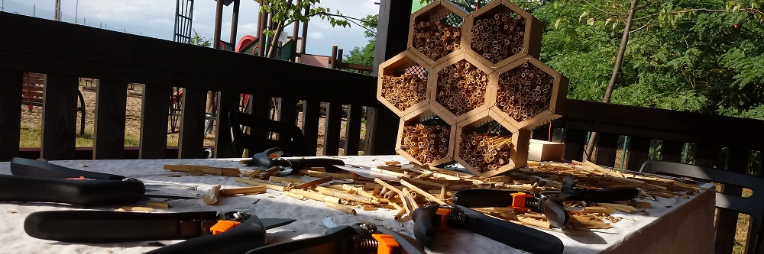 Beehotele- tworzenie domów dla owadów zapylających